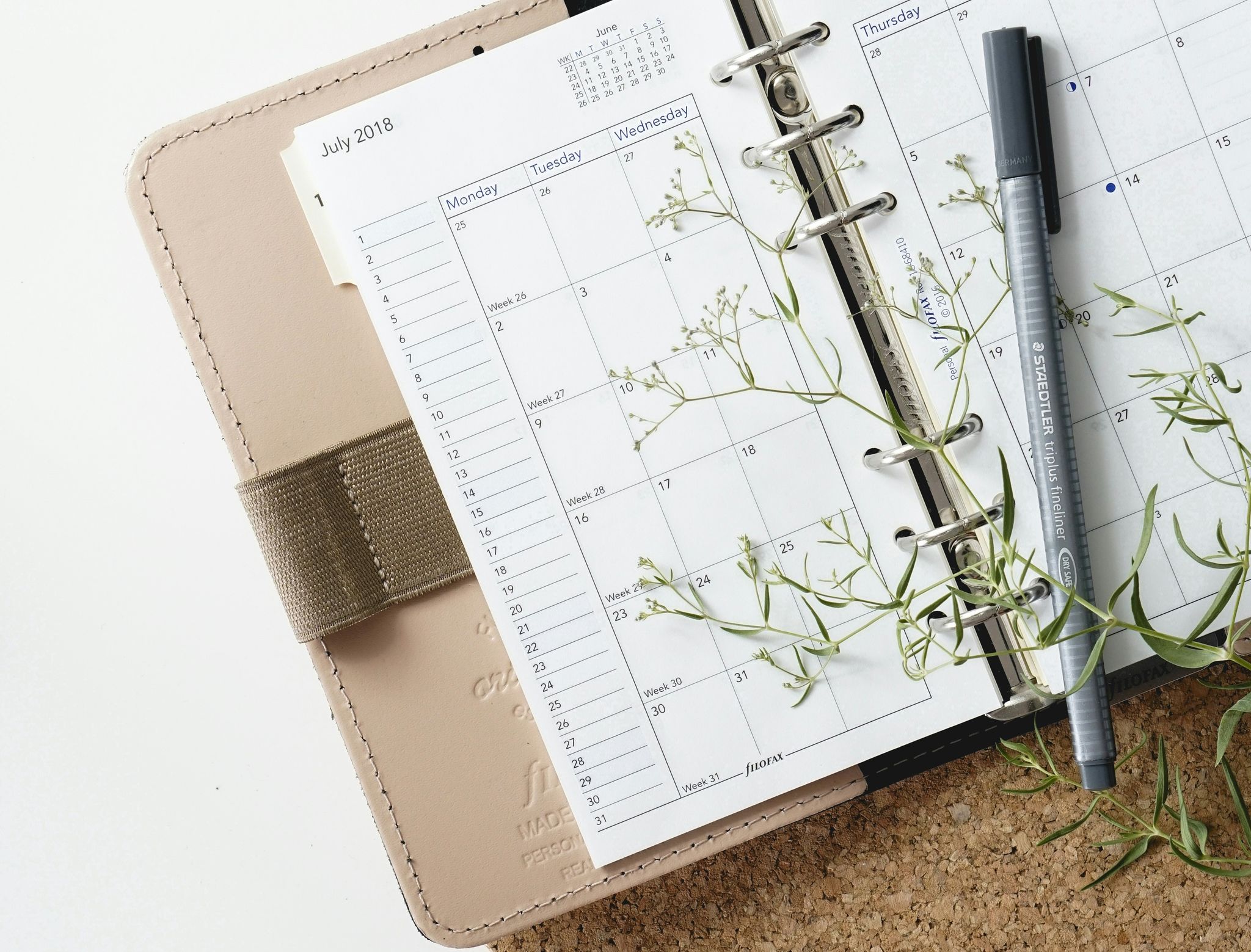 A paper calendar book with a pen and a delicate green plant laid on top of it